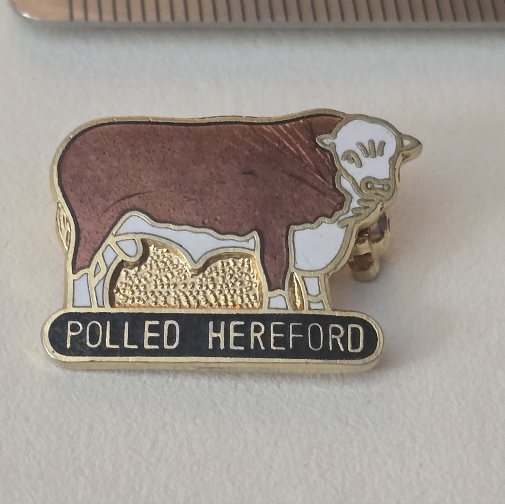 Polled Hereford Lapel Pin